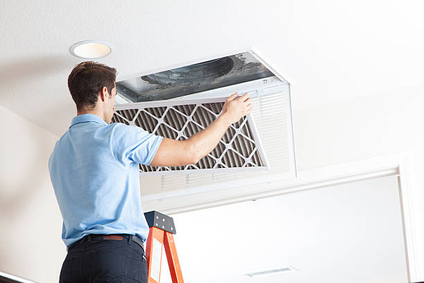 Best Affordable HVAC services  in Collinwood, TN